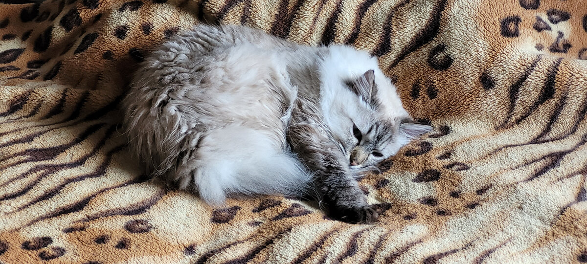 Как жить эту жизнь?...