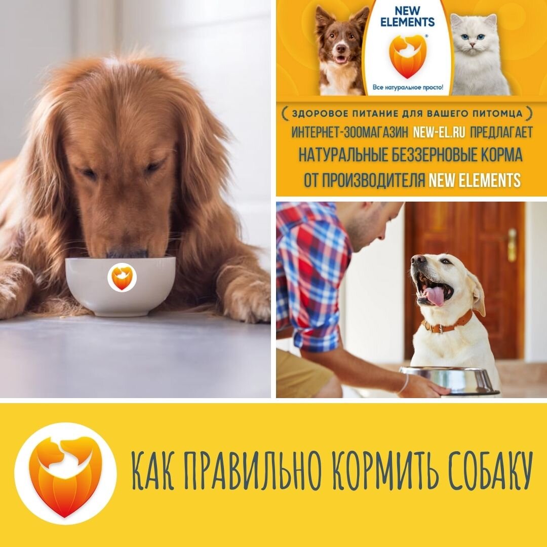 Подпишись на наш канал и получай полезную информацию ежедневно!