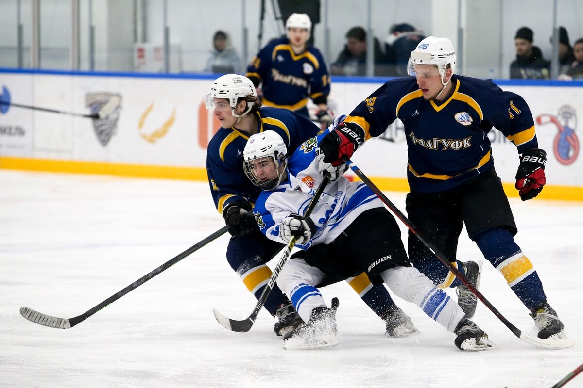 Фото: СХЛ, vk.com/shlru 