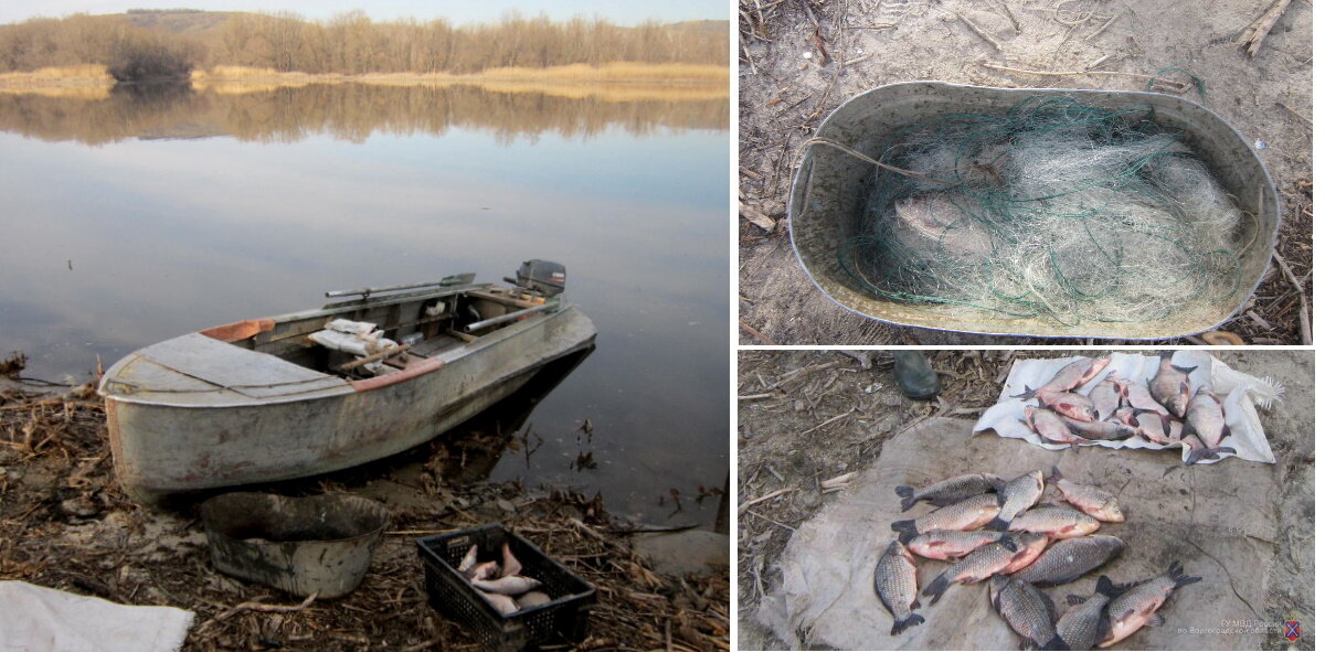 Вот такой примерно обычный улов браконьеров нашего региона. Фото из открытых источников "Яндекс картинки"