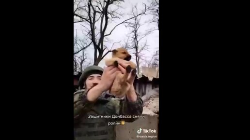 Песня ойся ты меня не бойся. Хард ремикс. Ойся. Cvetocek7 – эта ночь оригинал. Песня ты меня не бойся ремикс.