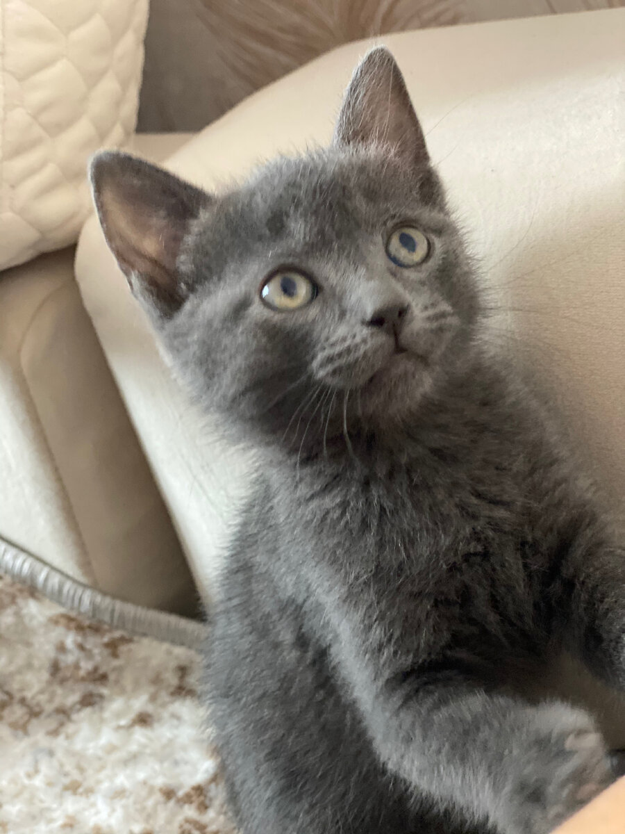 Укол? Какой укол?