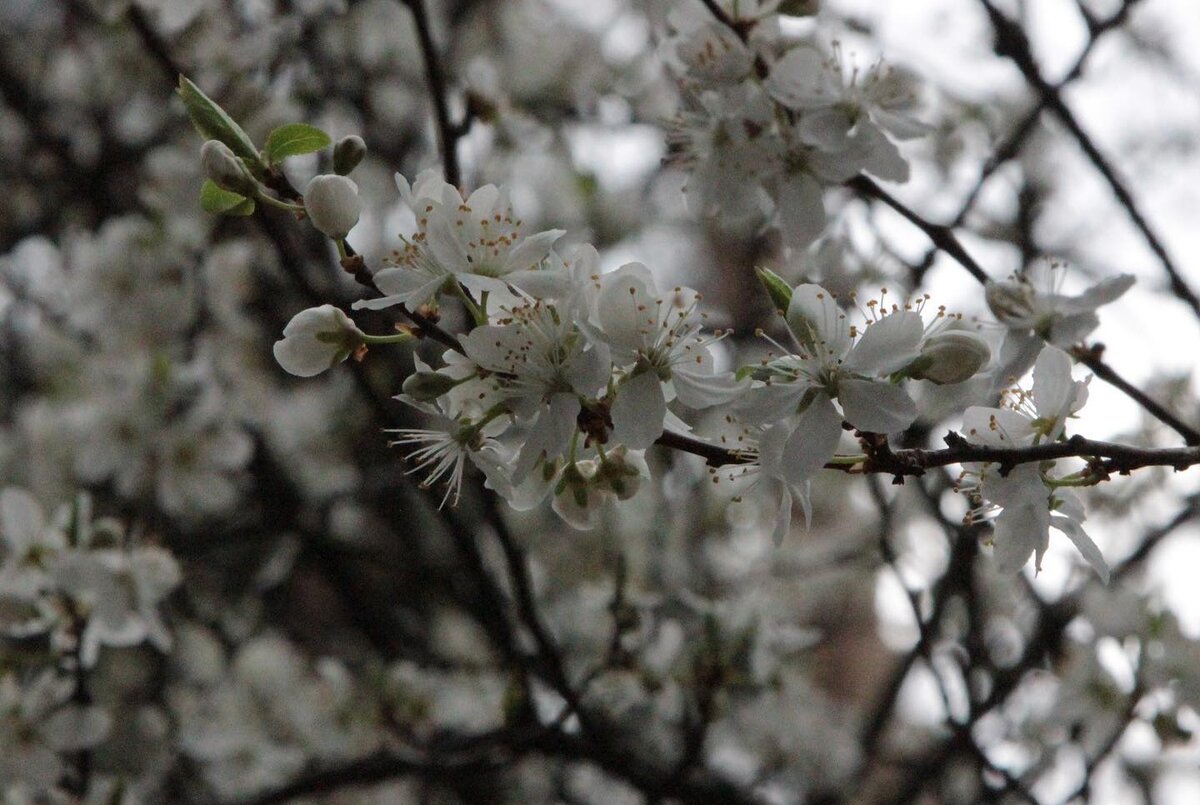 Фото: Варвара Аминова