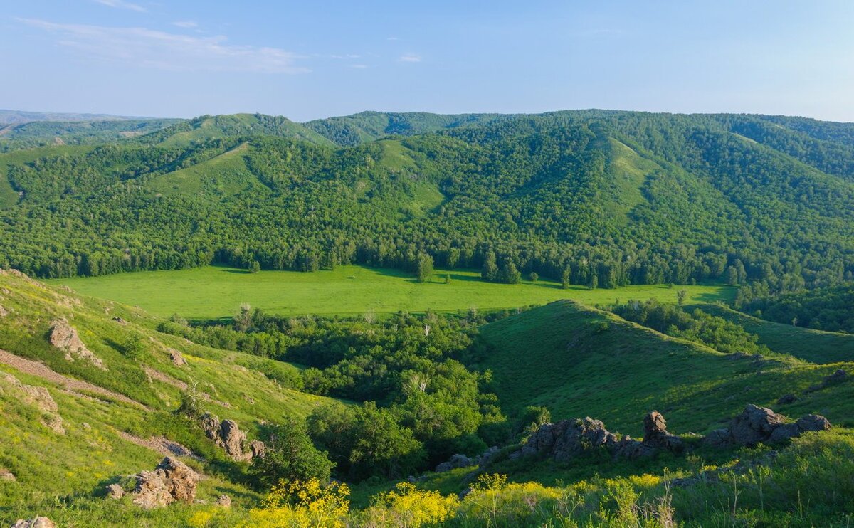 В. Герман