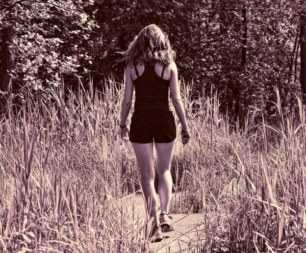    Фото: pixabay.com