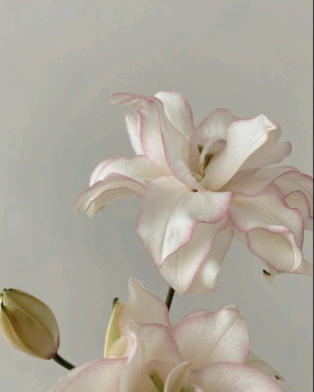 Во благо, мои дорогие, 🙏 учитесь принимать в себе Творца. Вы создаёте мир вокруг себя🌿 
Это практика, обладающая собственной защитой. Тот, кому не суждено ею воспользоваться, не сможет ею овладеть и её применять.

✔️Работающая с намерением техника "Секрет" – это техника исполнения задуманного за счёт применения вибрации уверенности.

Мы живём в вибрирующей вселенной. Всё имеет свою вибрацию: каждая мысль, каждое состояние, каждый человек и каждая ситуация обладает своей доминирующей вибрацией✨

Научившись разбираться в вибрациях и управлять ими, мы получаем доступ к пульту управления реальностью.

«Секрет» - работа с вибрацией уверенности.
Принцип здесь очень простой: если мы в чём-то уверены, то так оно и есть. Каждый из нас хорошо знает, что такое уверенность.

Мы уверены во множестве вещей: в том, как нас зовут, какой сегодня день, в том, что смерть неизбежна и так далее, почти до бесконечности.
В том, в чём мы уверены, мы не сомневаемся.
Мы просто знаем, что это так.

Уверенность и вера - однокоренные слова.
 «Будь у вас веры с горчичное зерно и скажите горе: передвинься!
И она передвинется».

Так объяснял принцип управления реальностью Иисус.
Как же вызвать в себе настолько сильную веру?
Активировав в себе вибрацию абсолютной уверенности.

Противоположностью уверенности является сомнение.
С ним мы тоже хорошо знакомы.
Вспомним, что это такое – когда мы в чем-то сомневаемся.
Это что-то липкое, дребезжащее или ползучее, разве не так?

А как звучит уверенность?🤔
Она звенящая, ясная и чистая😍

«Секрет» - это полное подавление и вытеснение вибрации неуверенности, сомнения и страха вибрацией звенящей уверенности.

Как это делается практически?

Смотрите в карусели 👆

Наша уверенность должна быть стопроцентной, абсолютной и спокойной. Сразу это не получится - необходимо работать и добиться этого😌

Тогда «Секрет» сработает
В завершение мы запечатываем ситуацию силой нашей уверенности и больше не возвращаемся к ней🙌🏻

