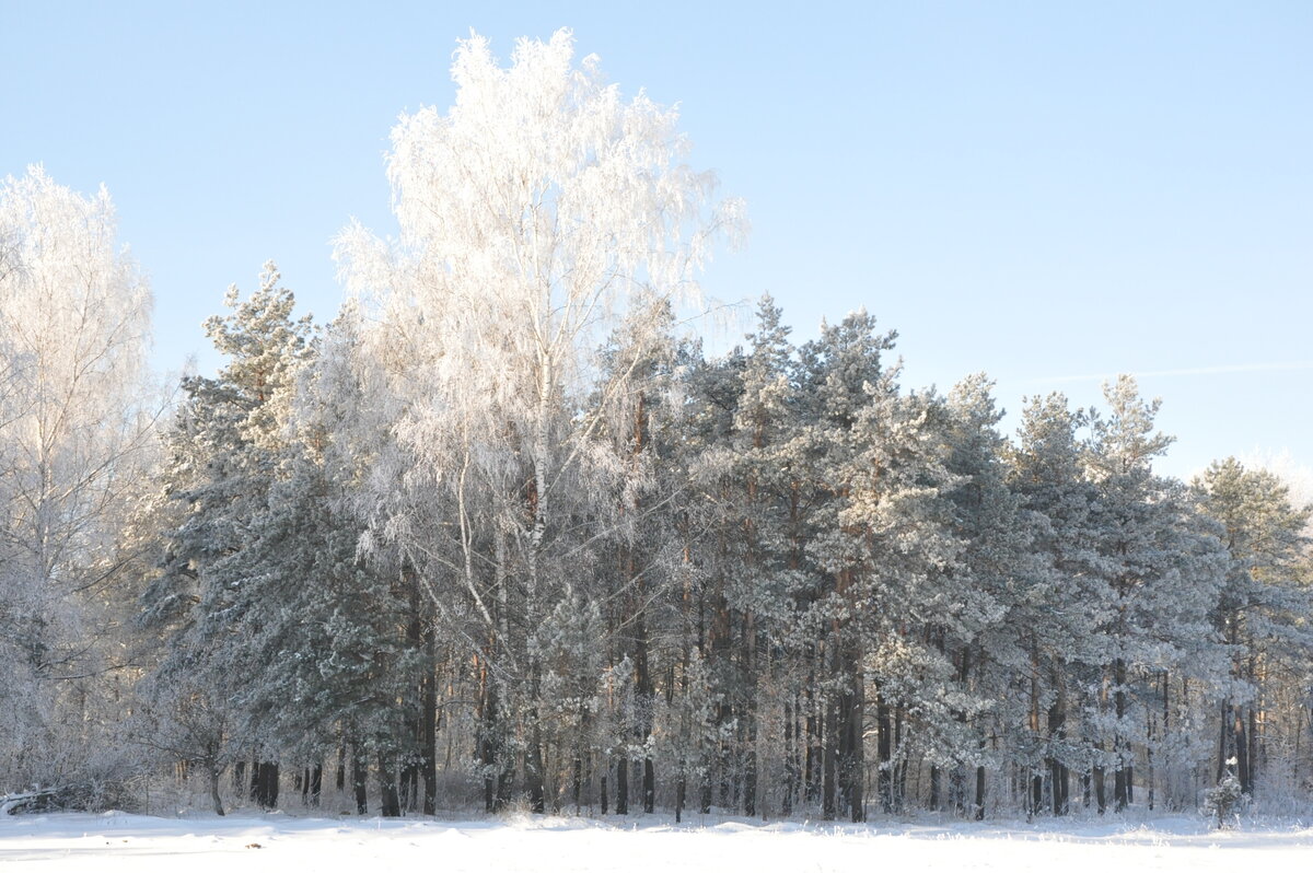 февраль 2013 год