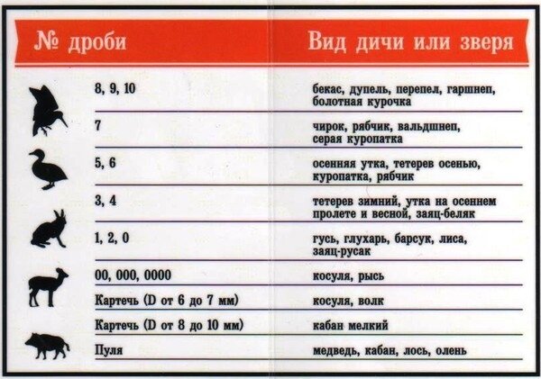 Дробь номер 3: найдено 85 изображений