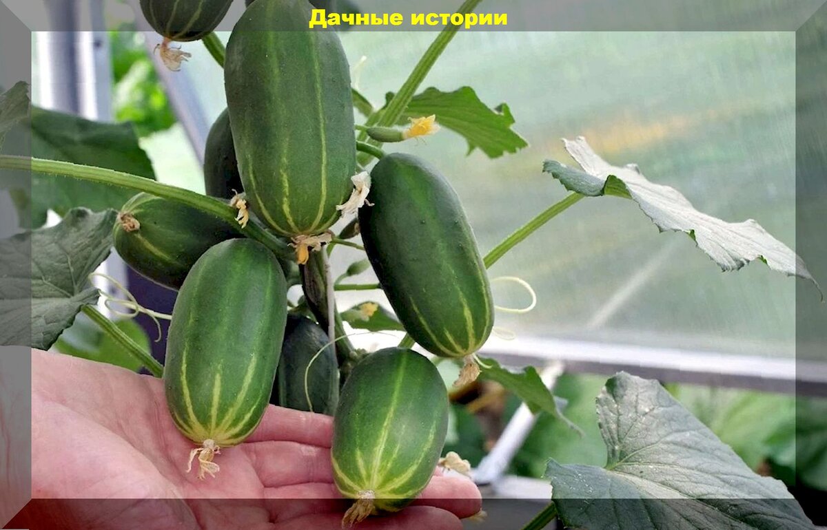 Защита от солнца