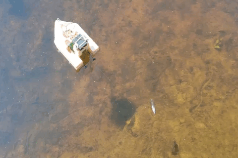 Нажмите на картинку для запуска видео