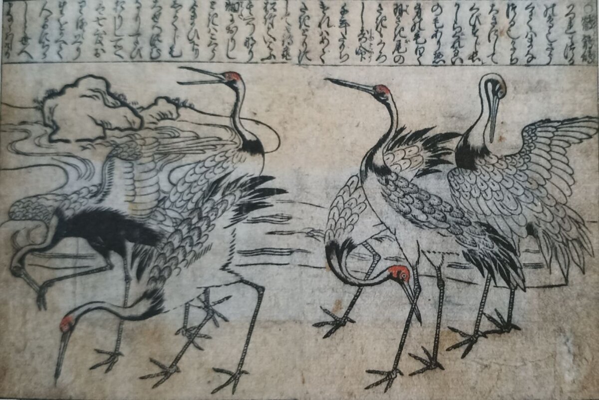 Цапли. Хисикава Миронобу