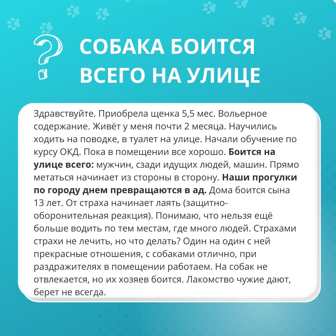 БЕСПЛАТНЫЙ ОНЛАЙН-СЕМИНАР ЕКАТЕРИНЫ ГУРОВОЙ «СТРАХИ И ФОБИИ У СОБАК. ЧТО  ДЕЛАТЬ С ТРЕВОЖНОЙ СОБАКОЙ?» | DogWinner | Дзен