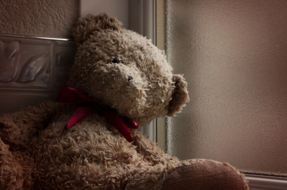    Парень украл барсетку и купил девушке плюшевого медведя на Ставрополье