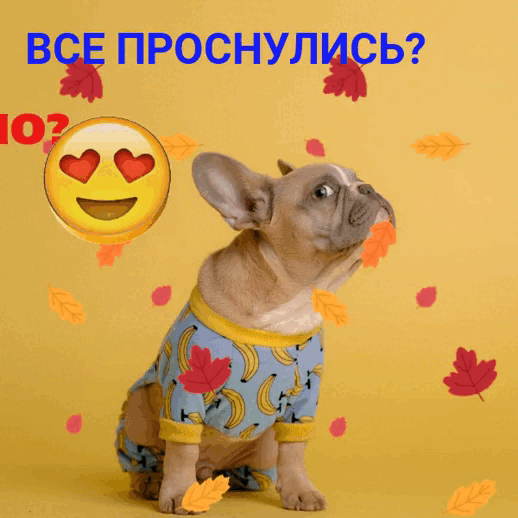 личный архив