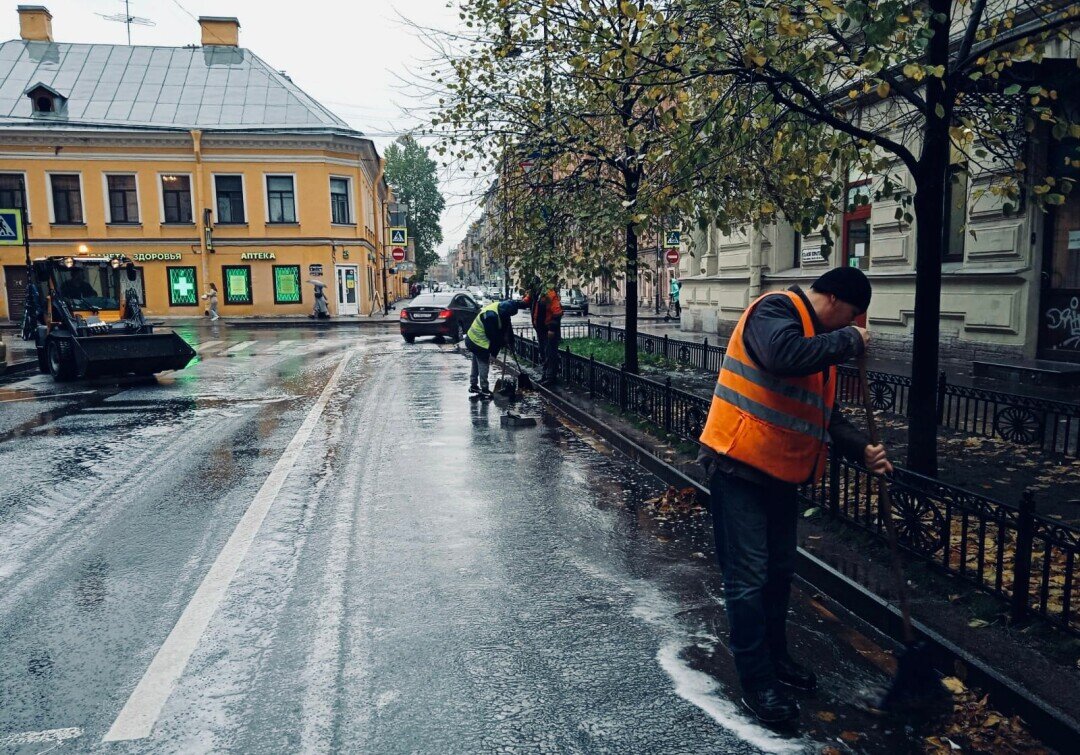    Фото: Пресс-служба комитета по благоустройству Петербурга