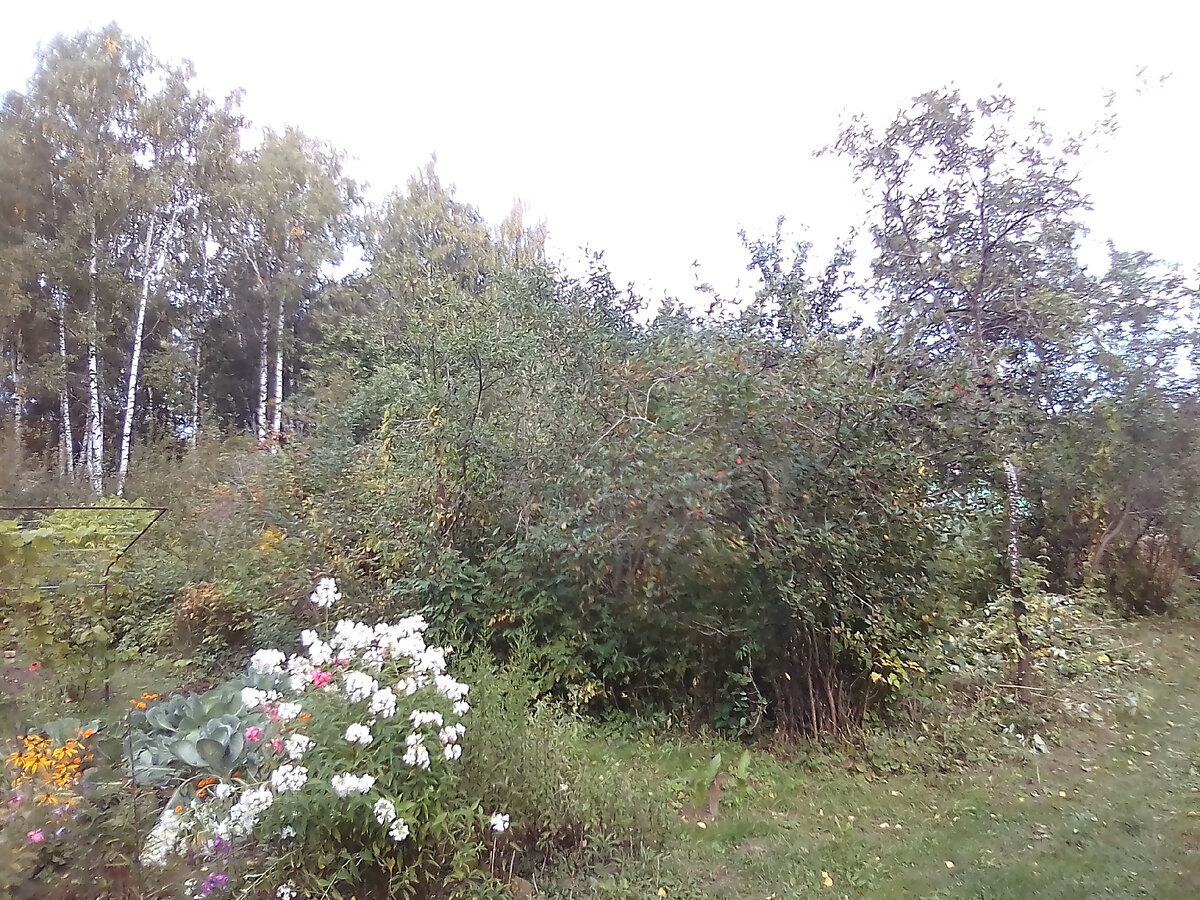 10 сентября 2017, юго-западный наружный угол