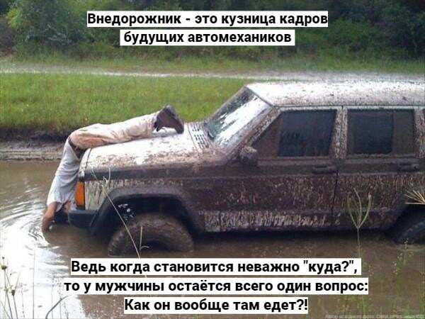 Доставка домой на авто