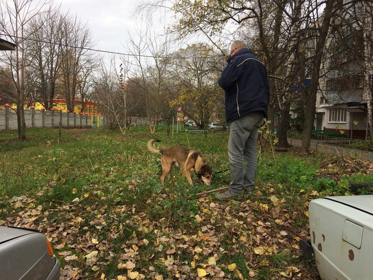 Александр Васильевич на прогулке с Бориской