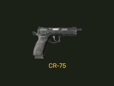 Один из пистолетов