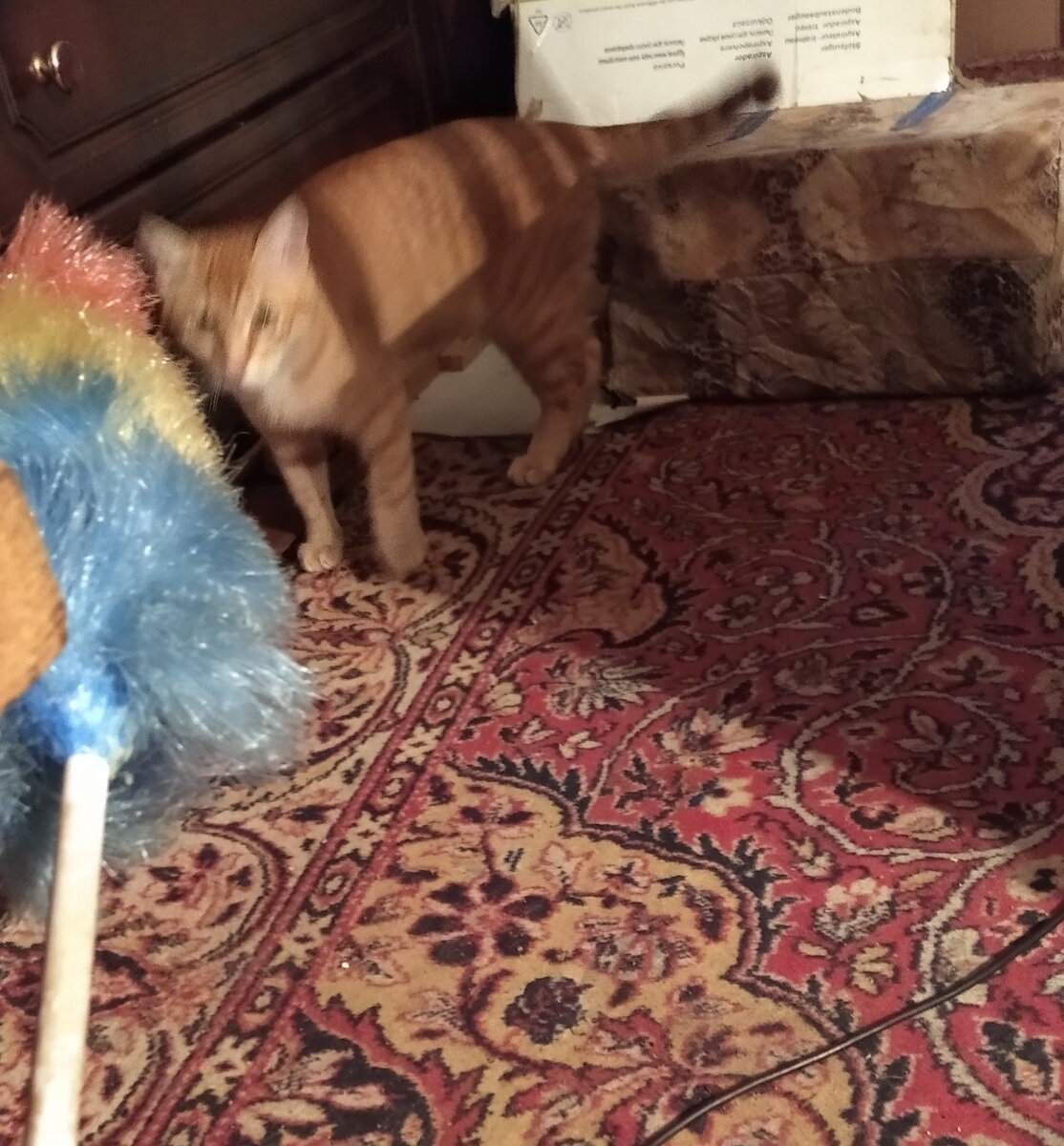 Личное  фото.