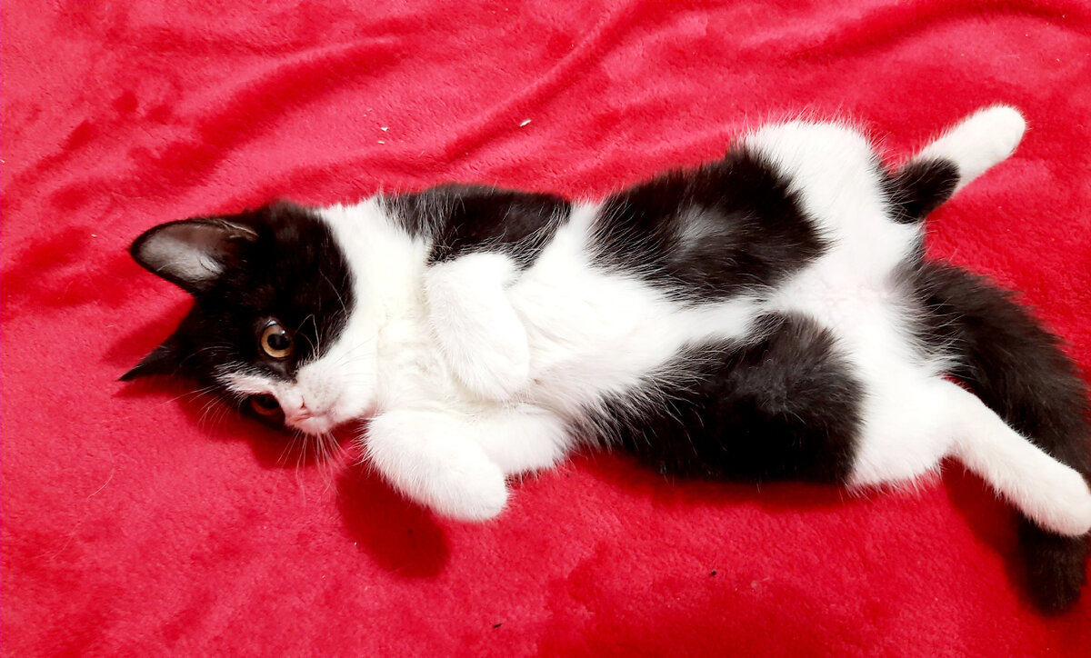 Фото автора Хасьянка 