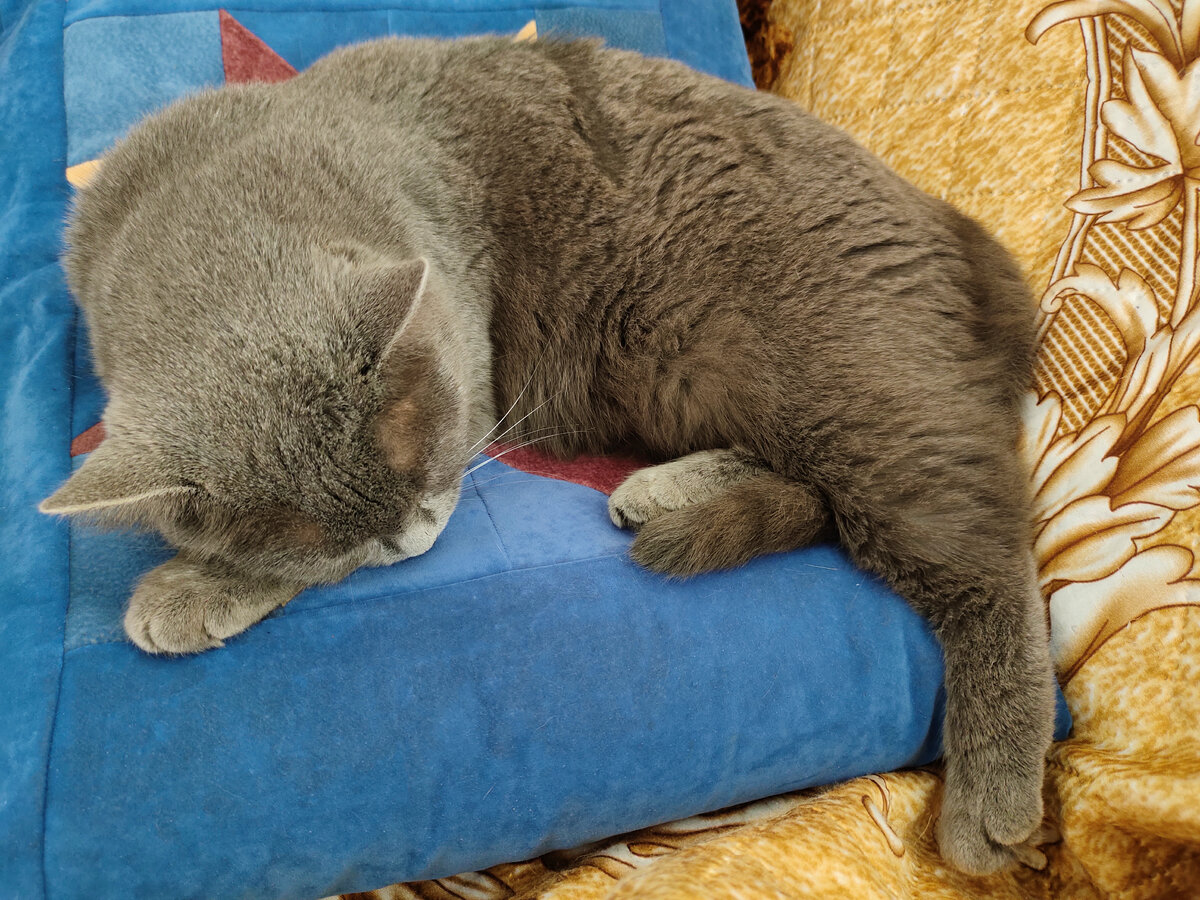 крымский карел дзен