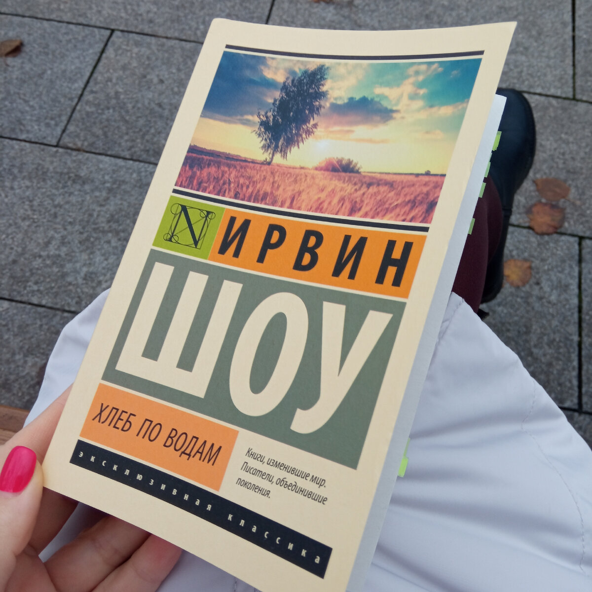 Хлеб по водам ирвин шоу книга. Шоу Ирвин "хлеб по водам". Ирвин шоу книги. Пускайте хлеб по водам. Богач, бедняк Ирвин шоу книга.