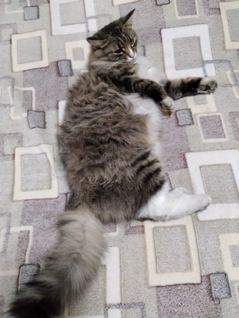 Космос дома