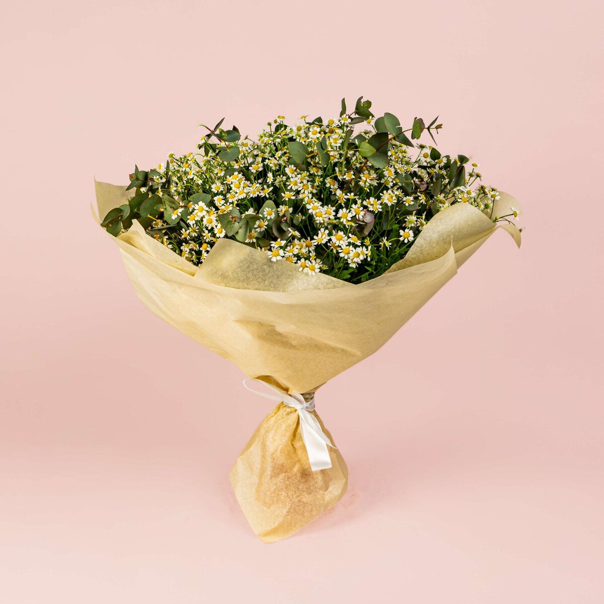 Букет из 25 ромашек