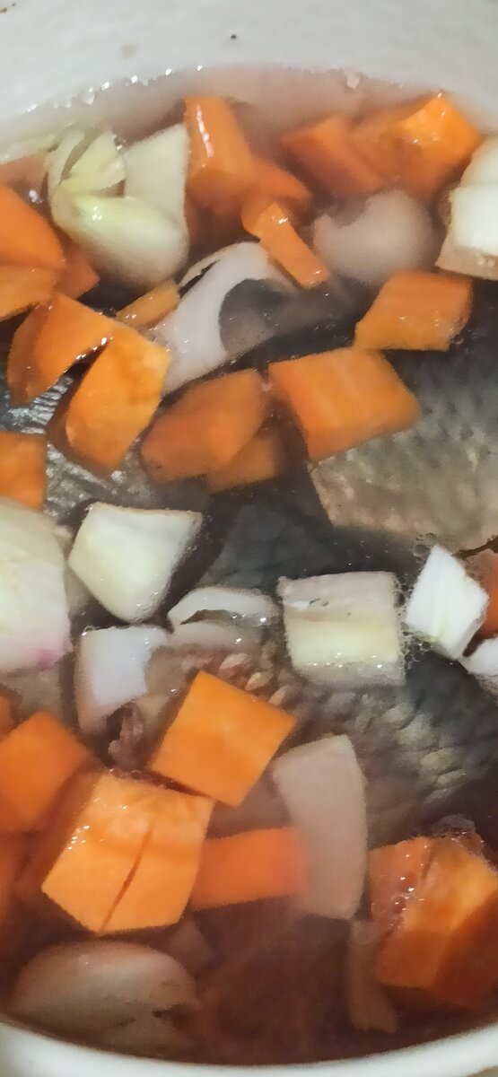 Фото сделано автором\