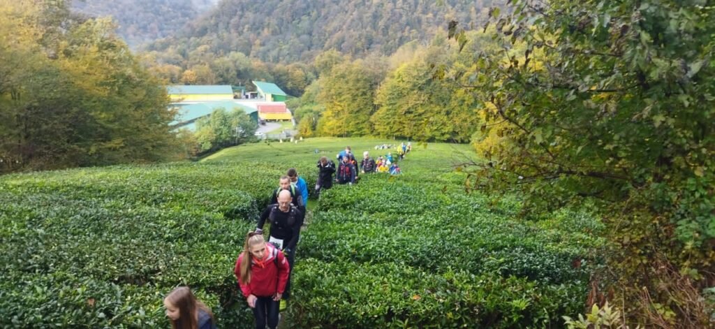 «Чайный трейл» в окрестностях Сочи