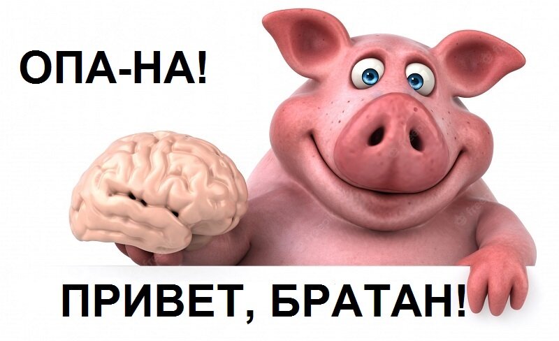 Свинье конец. Свинья летит. Свинья. Свинье конец. Свинья.