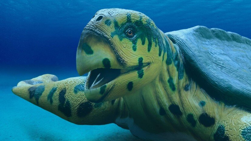    Визуальная реконструкция ископаемой черепахи Архелон (Archelon ischyros) globallookpress.com fotototo