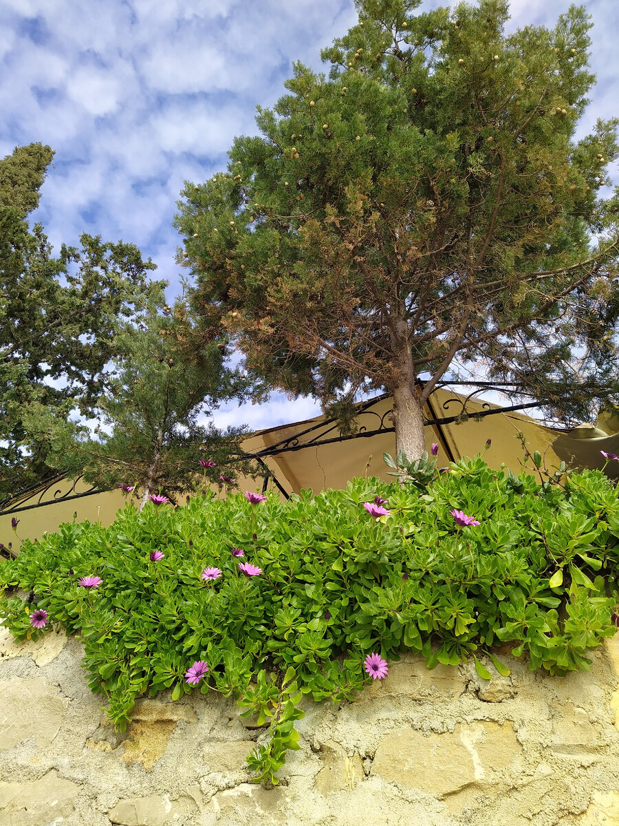 Февраль 2022.