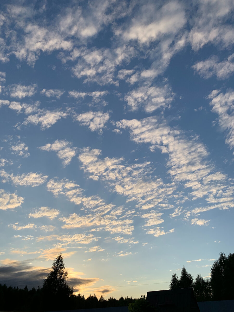 Фото из моего личного архива, сентябрь 2020