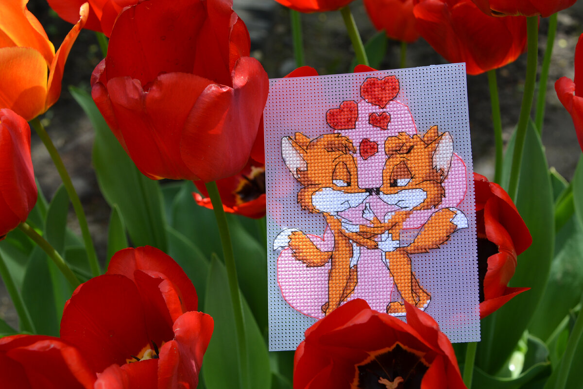 Лисья парочка идеально сочетается с красными тюльпанами