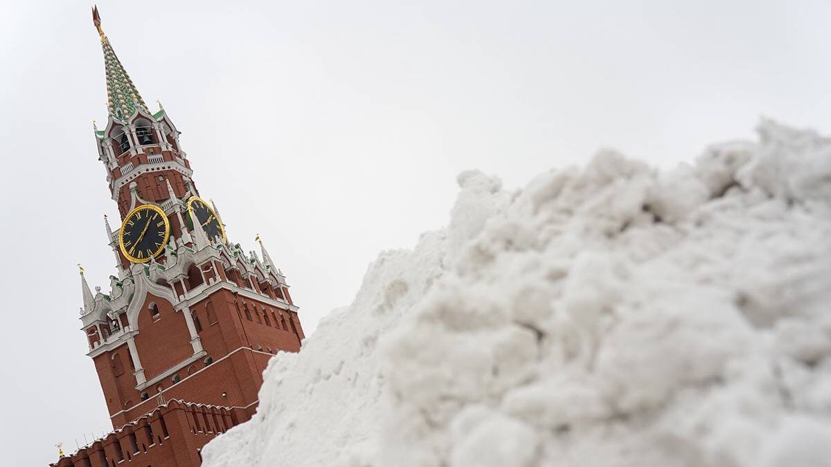    Фото: Пелагия Тихонова / АГН Москва