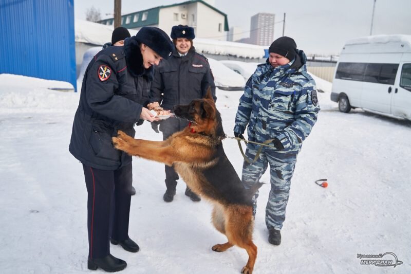   Фото: Лидия Аникина © ИА «Уральский меридиан» Юлия Баталова