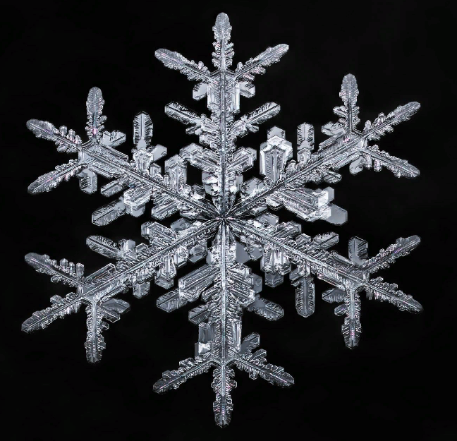 Добавьте описание