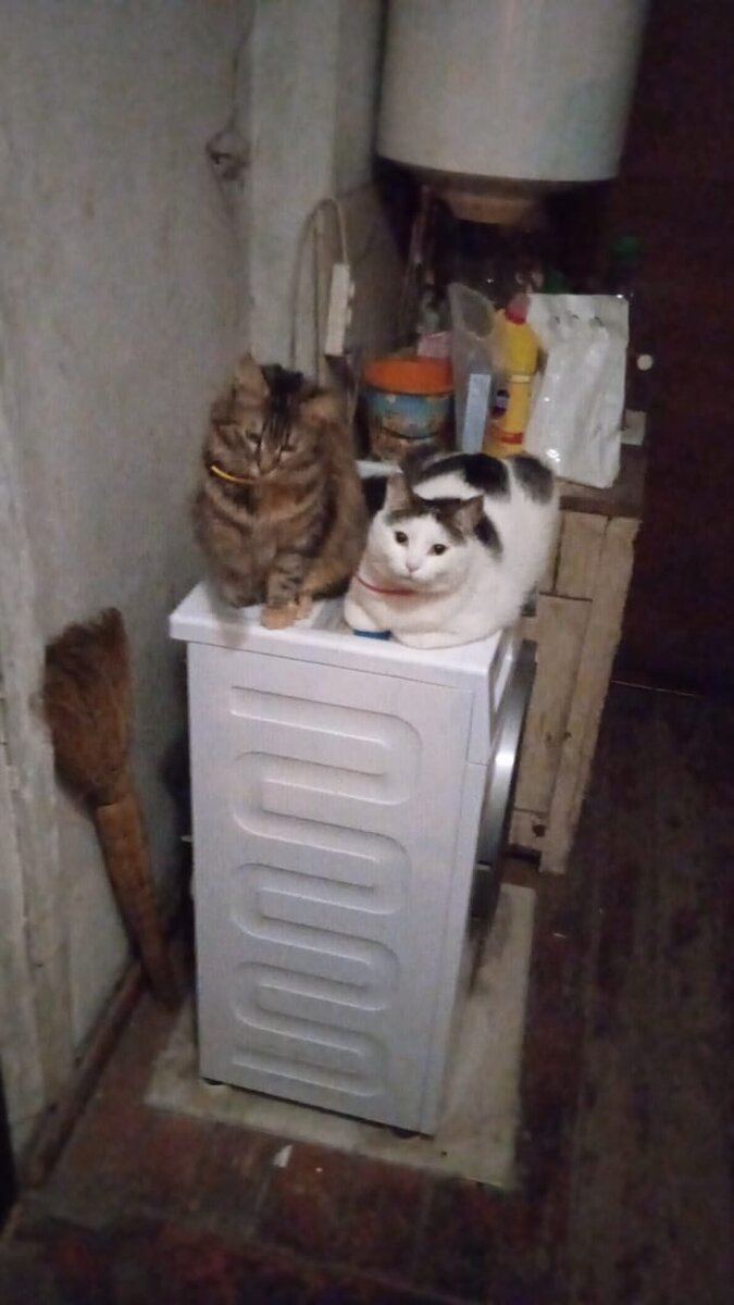 На выгуле☺ждëм-с! 😆