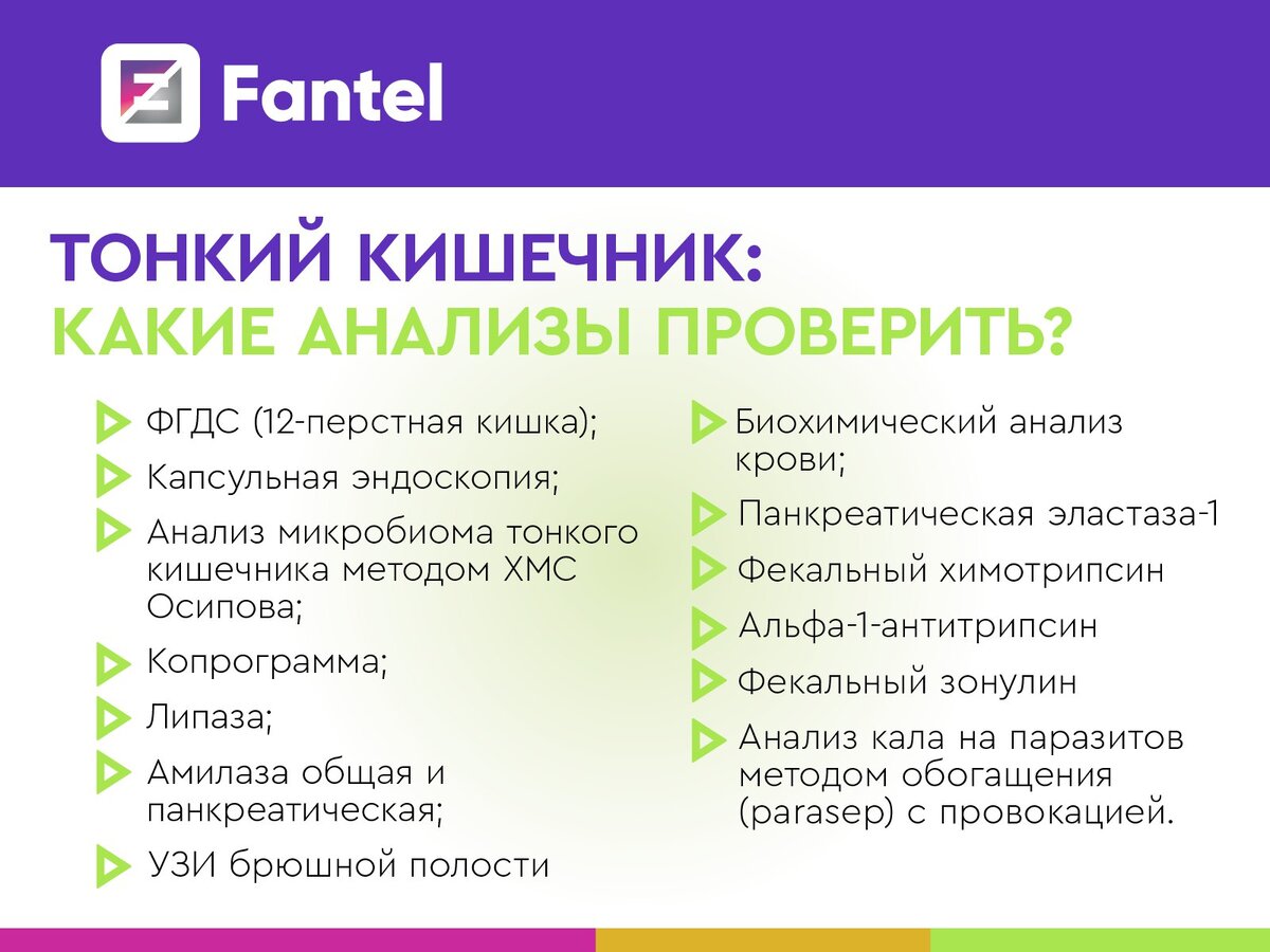 Анализ тонкого кишечника. Процессы в тонком кишечнике. Анализ тонкого кишечника. Подвздошная кишка анатомия. Тонкий отдел кишечника функции.