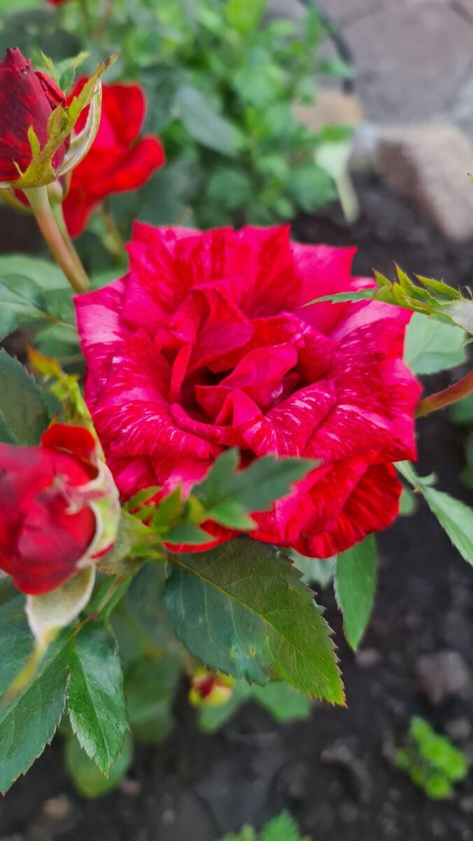 Листаем вправо. Фото автора разных лет