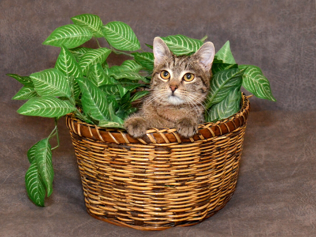 Фото из личного архива