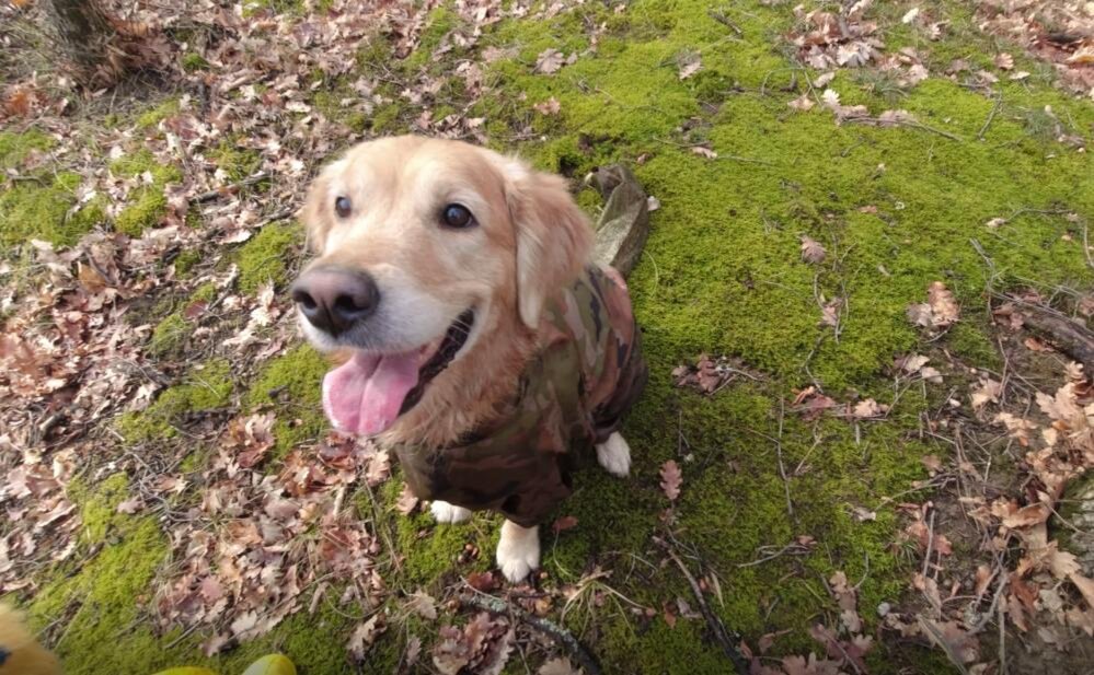 Ляля интересуется — а где снег?