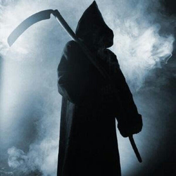 Изображение из интернета. 