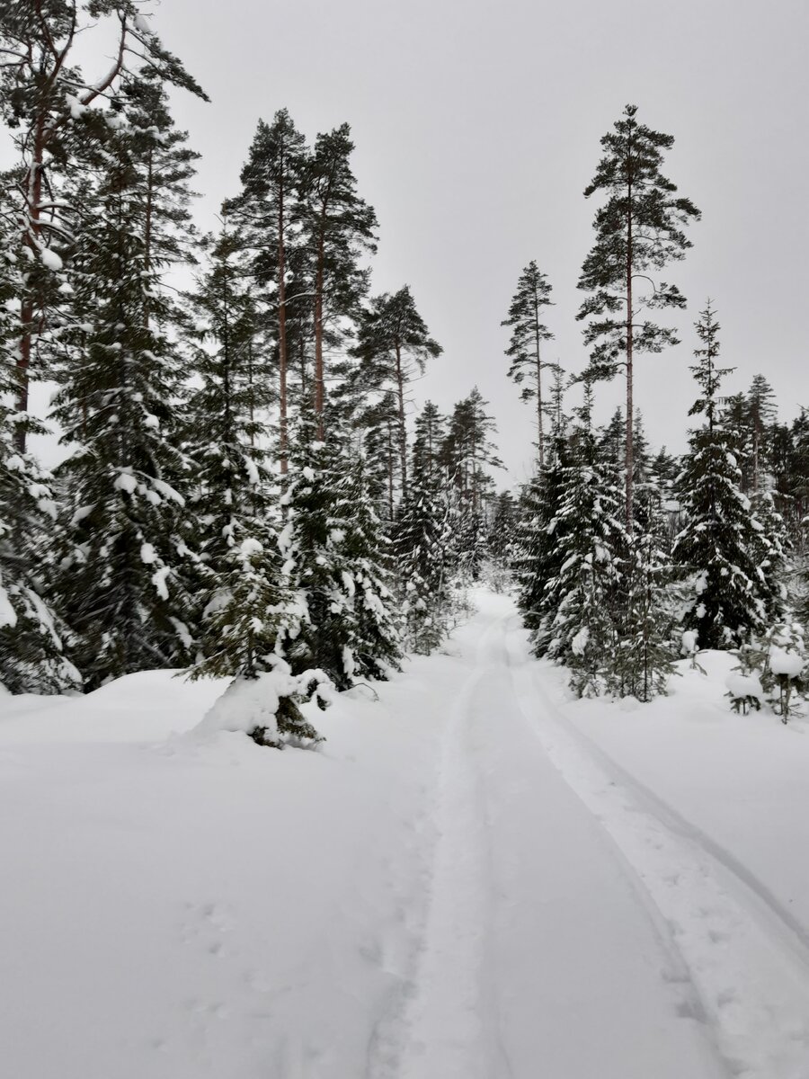 Зимняя дорога (фото из личного архива)
