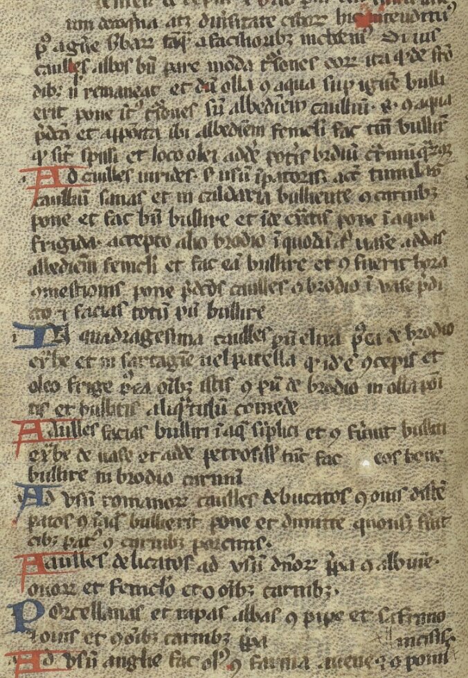 Страница одной из старейших средневековых поваренных книг - «Liber de Coquina» (Книга о кухне/кулинарии). Сохранилось две копии XIV века.