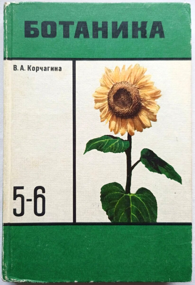 Ботаника авторы. Ботаника Корчагина 5-6 класс 1966. Корчагина биология ботаника. Учебник по ботанике 5-6 класс Корчагина. Учебник ботаника 5 класс СССР.