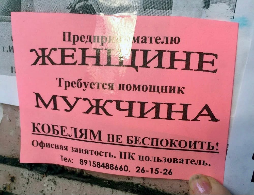 Объявления прикольные картинки