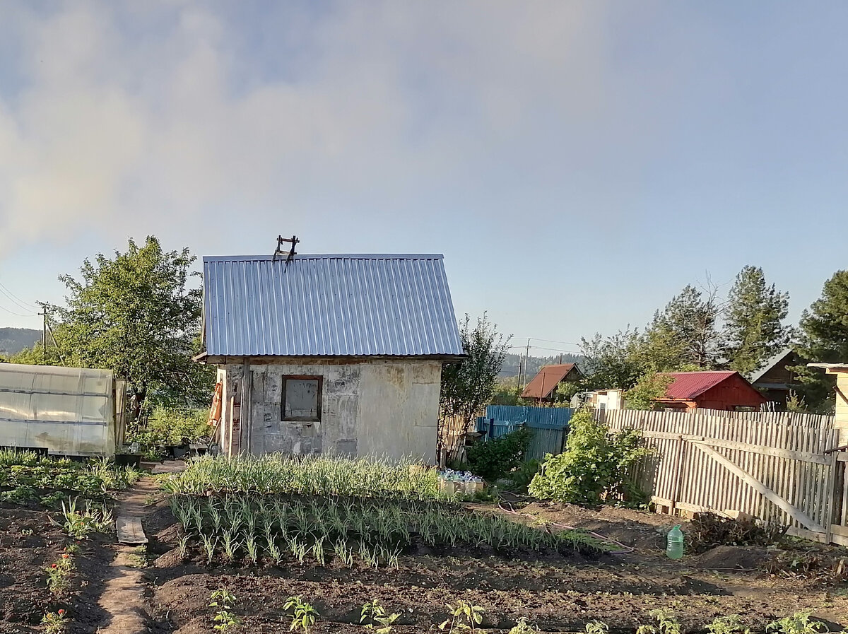 Еще бы теплицу новую поставить